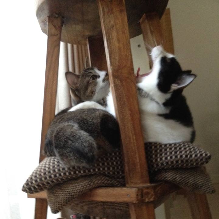 Aec49b38 023d 483a 83ac d23a7b15e52b