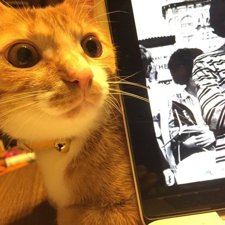 Aec59f96 ba32 4238 ad34 975f4cecdf7c