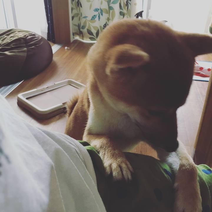 Aec5c8a5 60e3 4a24 9b60 9031a88278dc