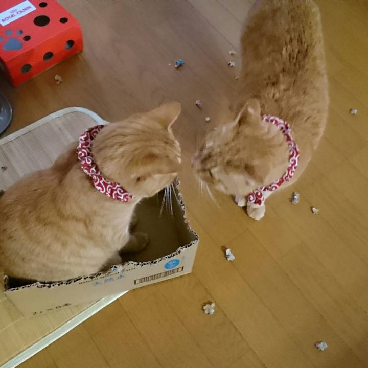 Aec5fae0 7edd 4fa6 805d 79178480ec1c