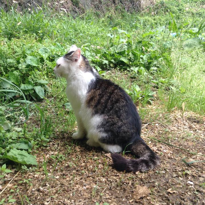 Aec62ce7 4d50 4203 ae80 cb47deba7f6b