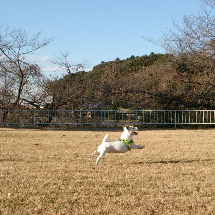 Aec638e6 5307 4773 b976 b4a021103668