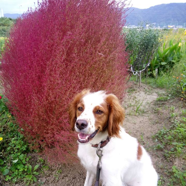 Aec6c7ee bf8c 44f5 9beb 8f1fe4f76d81