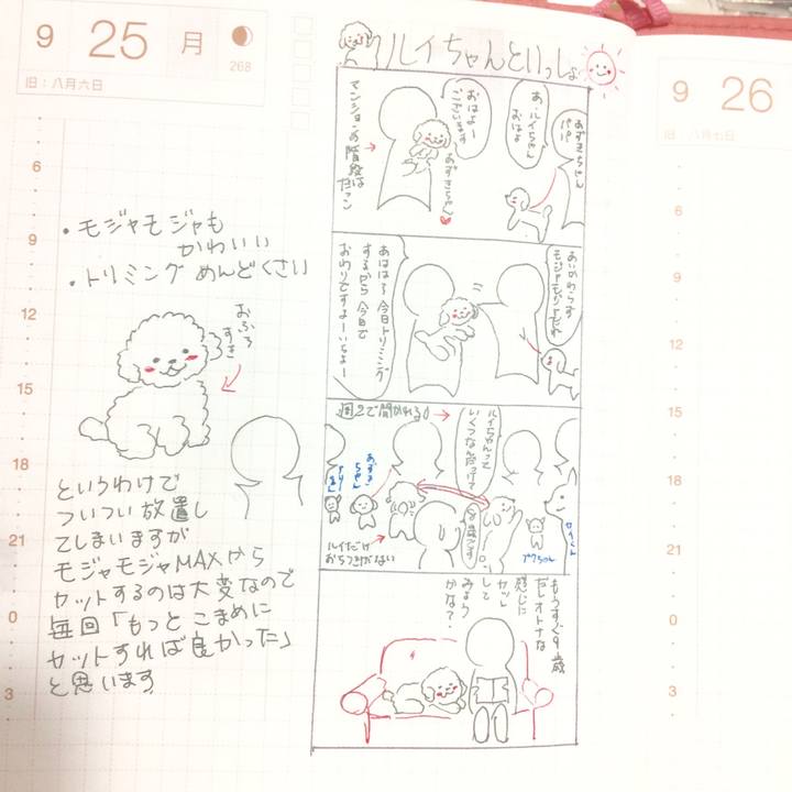 Aec6e58c ffa6 4df0 920c 1fd4d66a666e