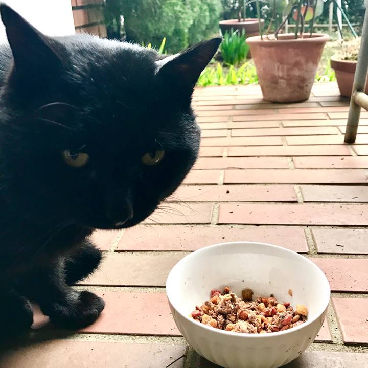 Aec75fdb b634 4e83 8c4a a694b41b60c0