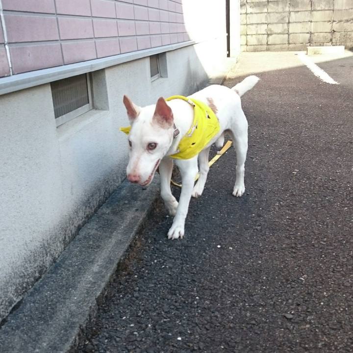 Aec82184 aaf3 4bb9 9926 734a19165d7c