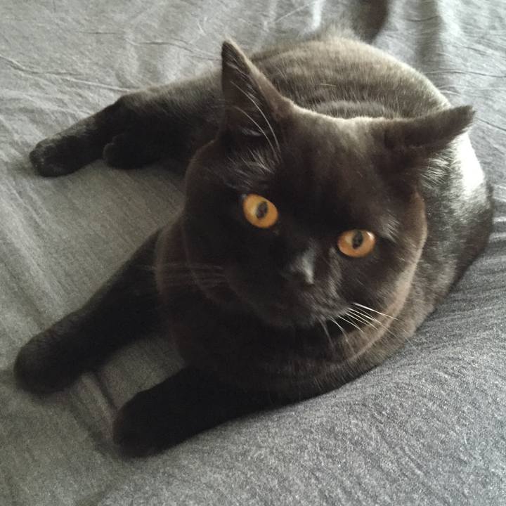 Aec85bd3 ec86 4dfe 9f2c f3a2f78049d1