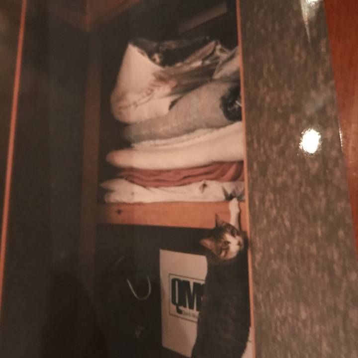 Aec86229 7651 4cac b293 7c37368051b7