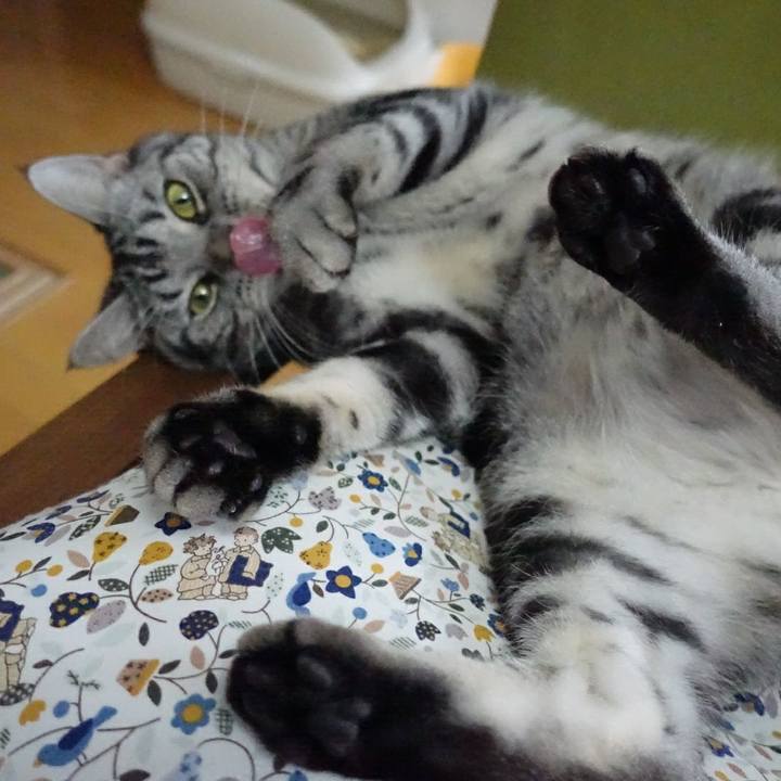 Aeca82e2 088b 4774 b92b 083ceb309e1c