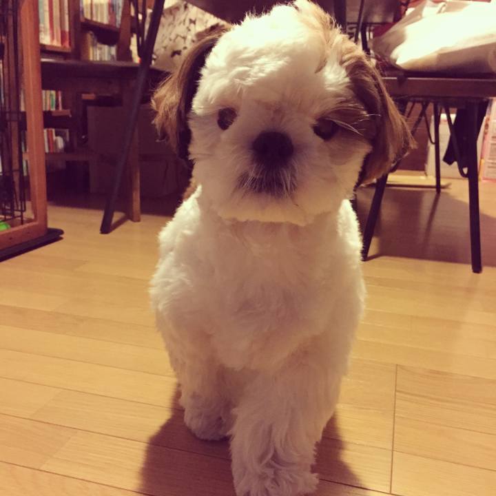 Aecb758e 99cf 41d0 b713 f1cba3cadd06