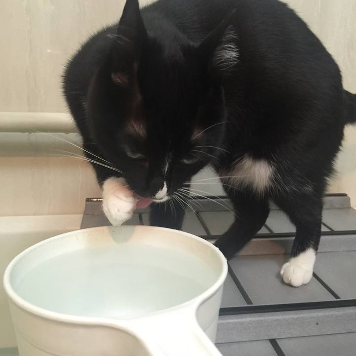 Aecb813a 22e4 41b7 a609 7d9d8a201642