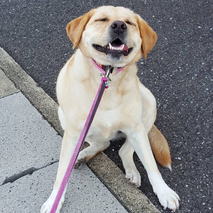 Aecb8b46 8584 46e7 b901 49fbb92dc7e7