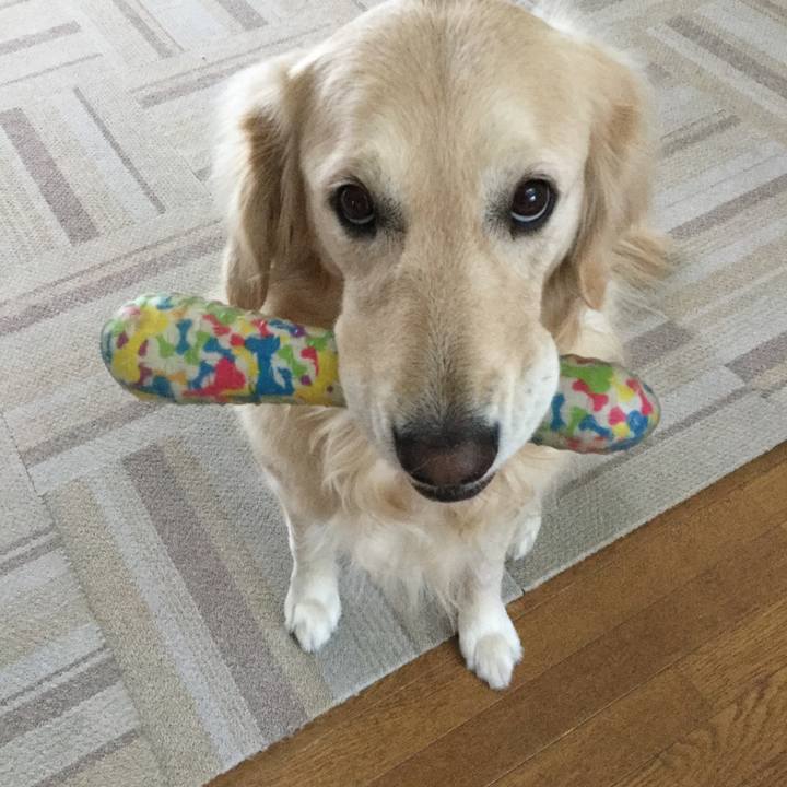 Aecb947d b820 4380 a139 f24dc0743ae7