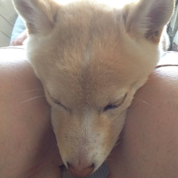 Aecc8377 6173 46f5 88eb 2cfda2c713ee