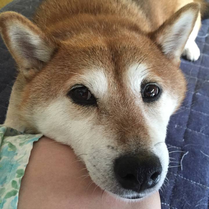 Aecc99d7 f032 4a30 8858 183ce90404a2