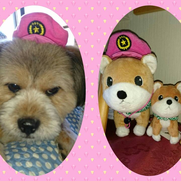 Aeccea47 e085 4c9c 9eb4 180233d9dc19