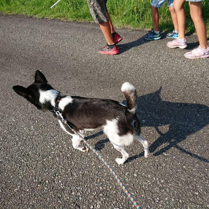 Aecd728c 1052 4dce bb6e 86891e7c702a