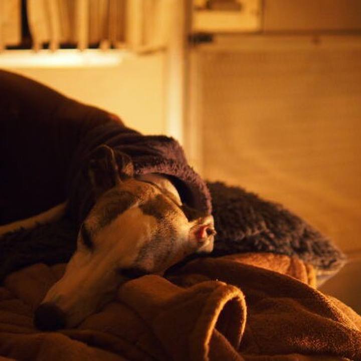 Aecdadb9 a0b1 4aef 8271 edb28211c07c