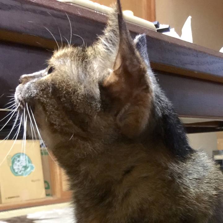 Aecdb976 1220 4a62 ac69 0e5d44af737b