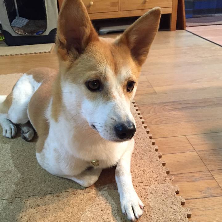 Aece1fd0 242b 4811 a6a1 c3e098b4c359