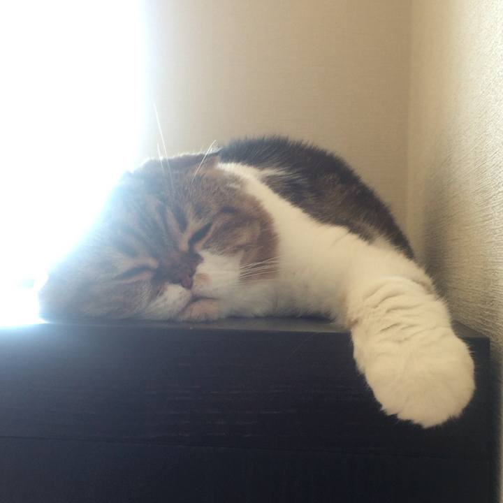 Aecececd e15b 4dea a546 572d848ac090