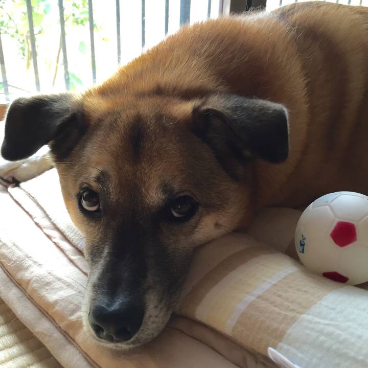 Aeced13a 01c1 4a5d a6b4 0d5ee86ac920