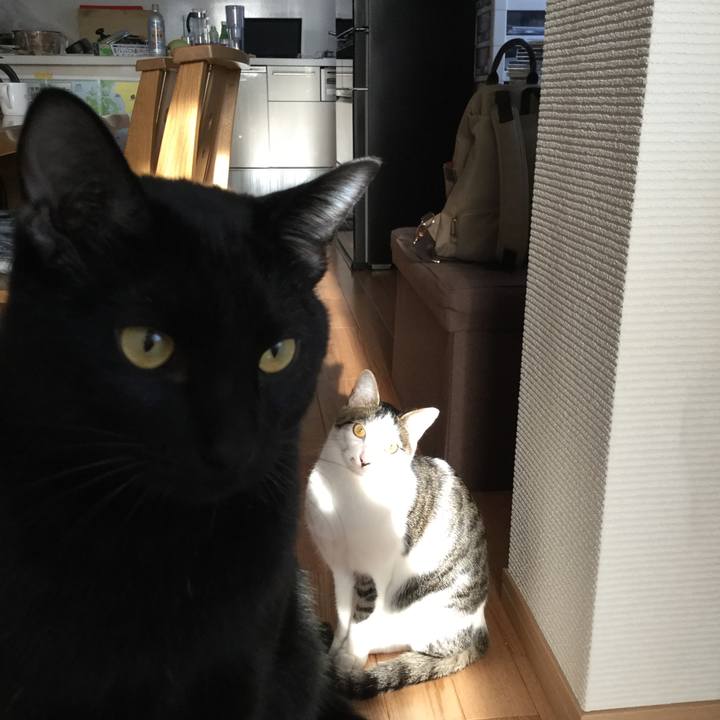 Aecf3f4f 4511 417e b5c8 8fb00a976e23