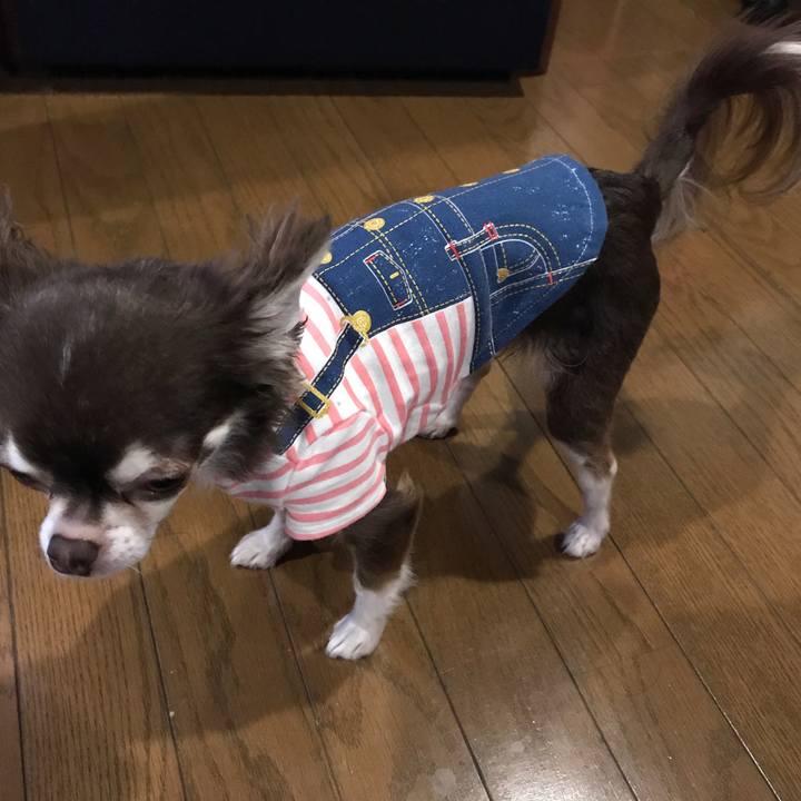 Aecfeab7 6ed6 46a6 a743 352cd8142d4d