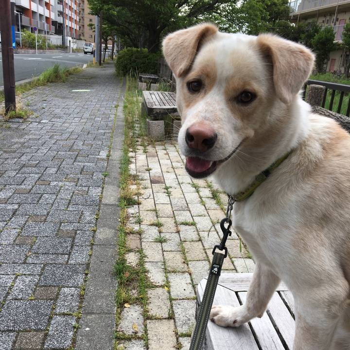 Aed0d4dc a3d9 4809 9176 54f943b07f3d