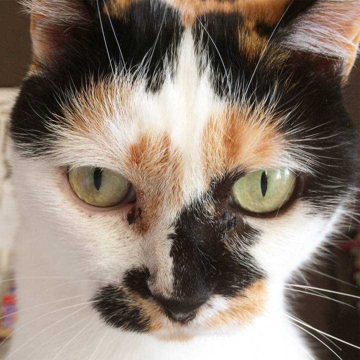 Aed0dc28 9aa2 499f 8d67 c8805ece85c4