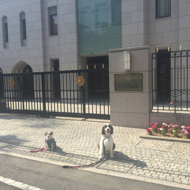 Aed1765f f1c8 4eab 80af 87f7a305e775