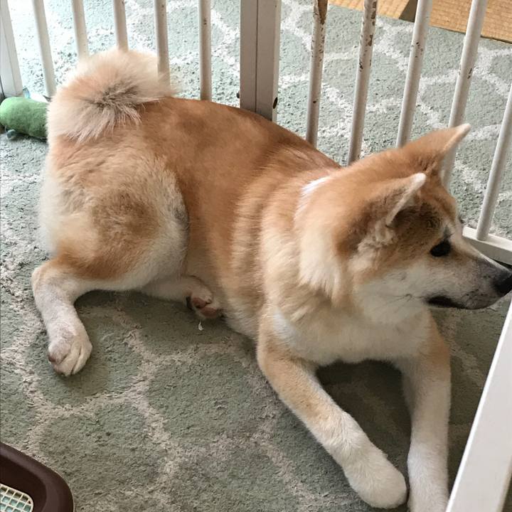 Aed1ea4b 6dc7 4014 9984 43aa1507049a