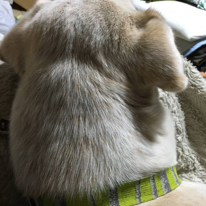 Aed1f96e 704d 4898 bb7d 1a9b0e06c856