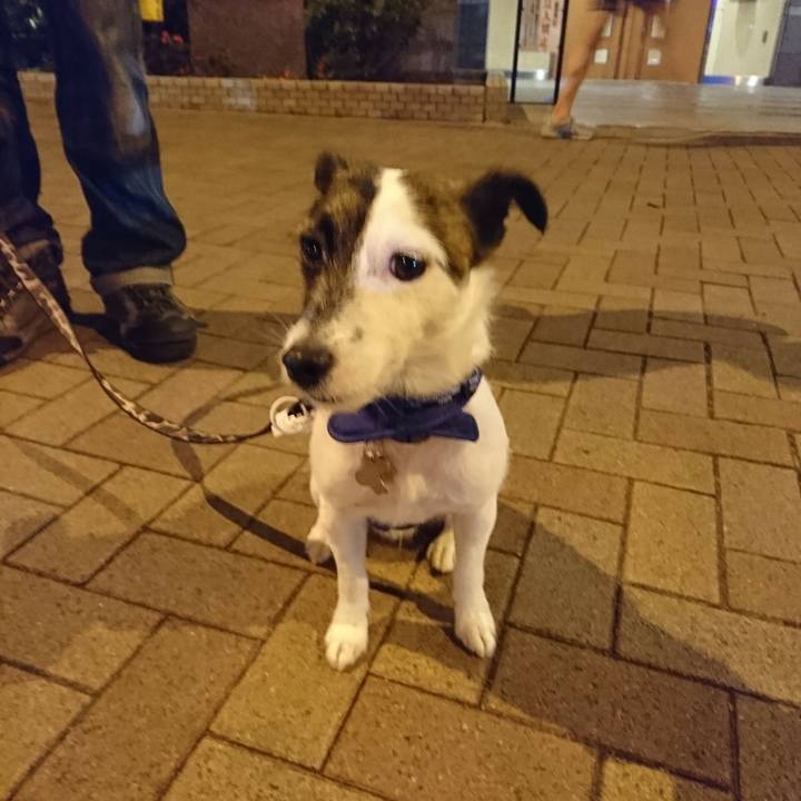 Aed20be5 969f 4f11 aca1 40ab1519ae11