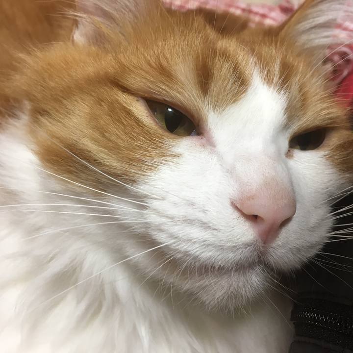 Aed2231c ec18 4600 a0b1 451c278abeaa