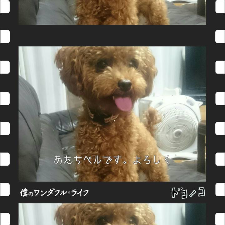 Aed23529 cb25 434e bdb0 fb6060ab4afa