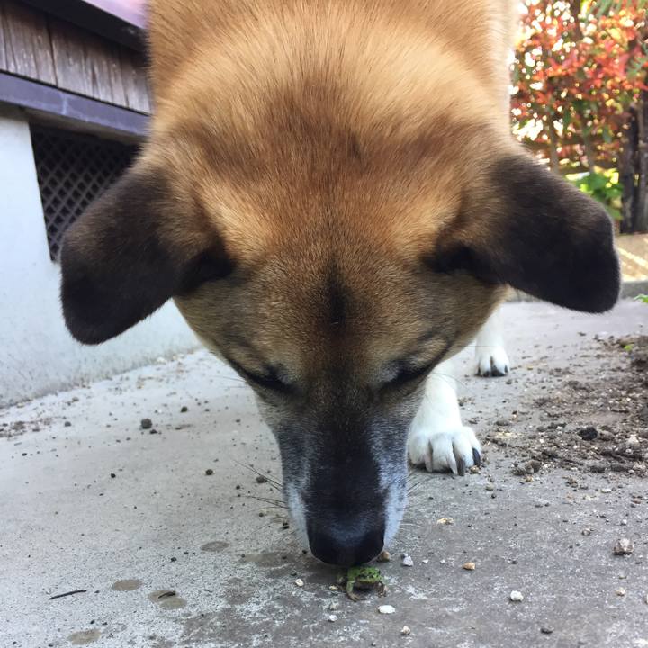 Aed2d929 e04e 45e1 98f9 e09fb505f07c