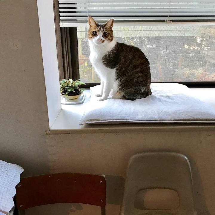 Aed37e36 6c3f 4e94 894f b63cb7f12d4e