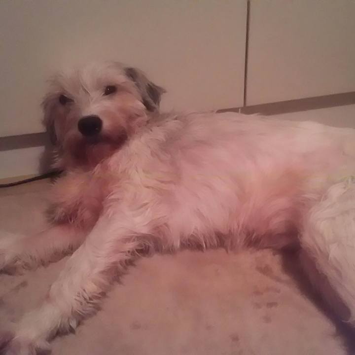 Aed395c4 520f 48ba 8686 6ebe961ea727