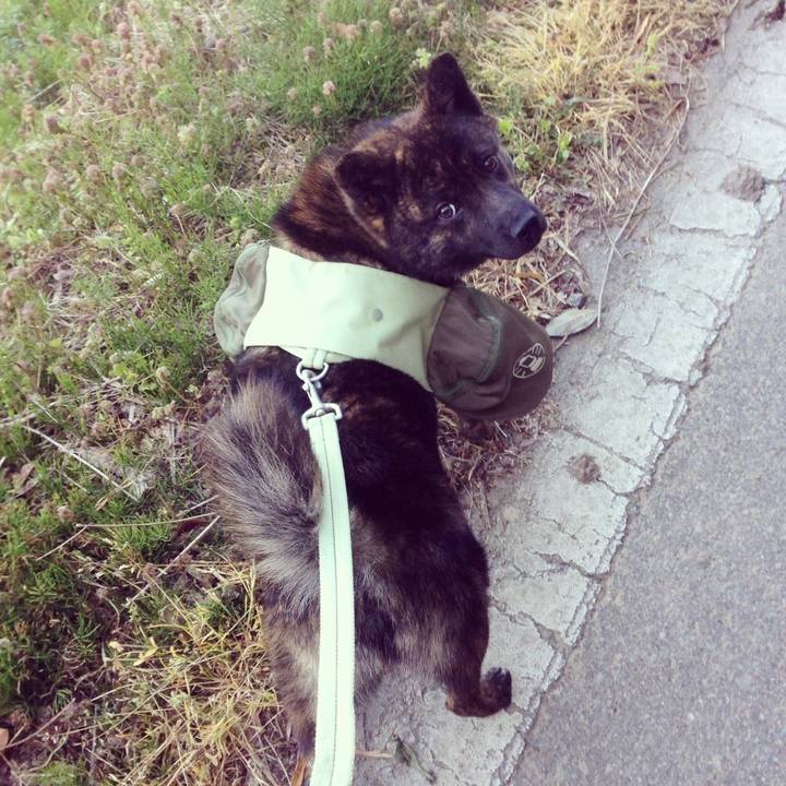 Aed3f735 4048 4032 abe4 08770e2efb88