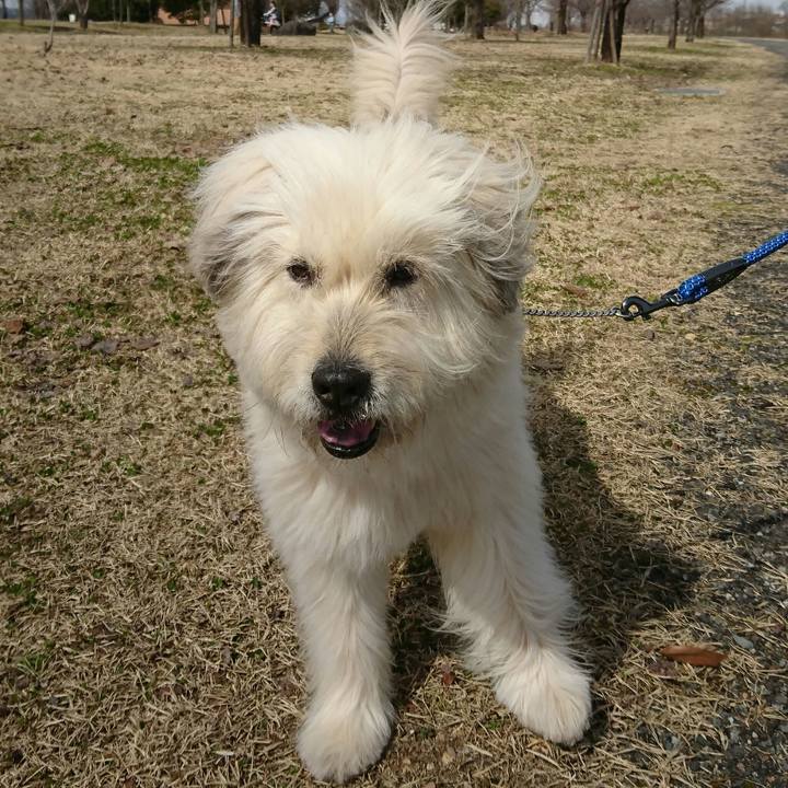 Aed4777d 5ae5 4372 a39a 19280960ed25