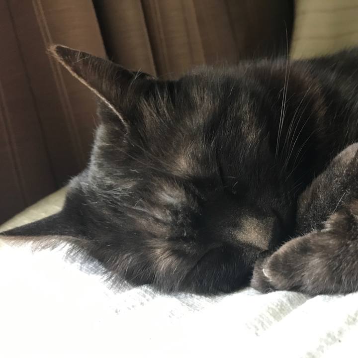 Aed495dd f130 4ec0 9cf5 b787c65f3784