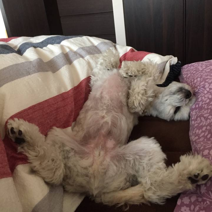 Aed4969f 798b 44d5 9285 5ff28c208900