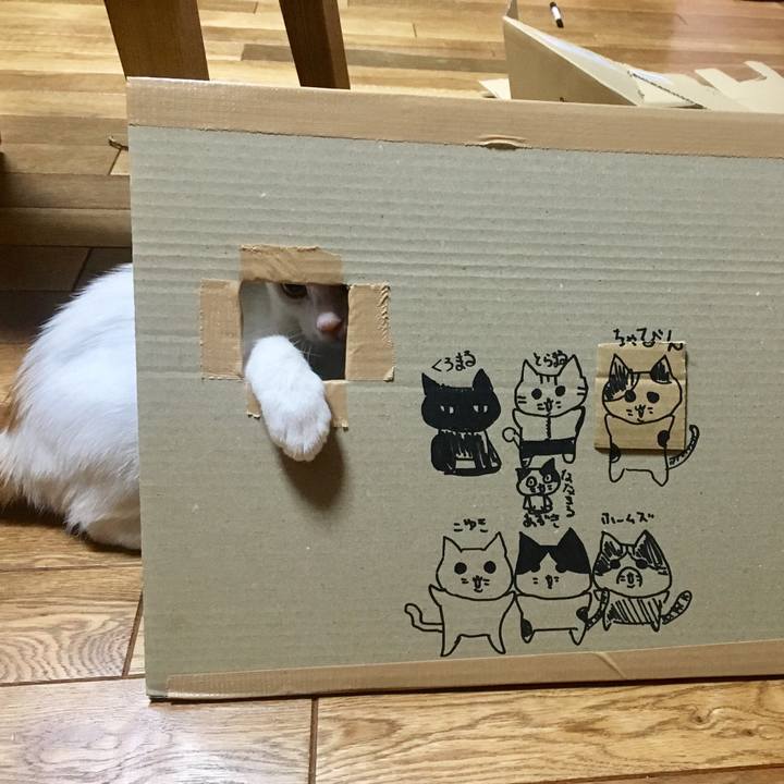 Aed4a3c3 52fd 4d2e aedc e0c554aaf077