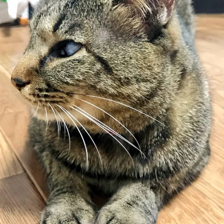 Aed4c806 948f 4012 8563 bbf8f88c21f4