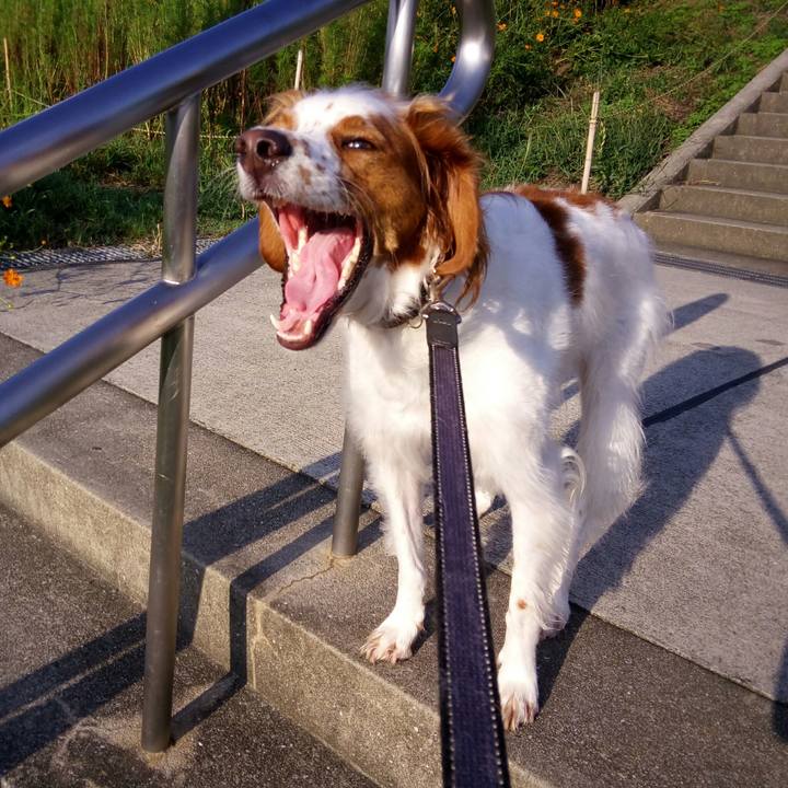 Aed5267e 6a4a 440c 97c3 54f27393bb64