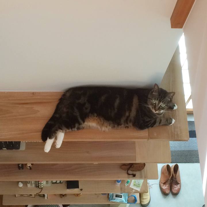 Aed53aa6 08a5 4149 9edf 60aad6aeb047