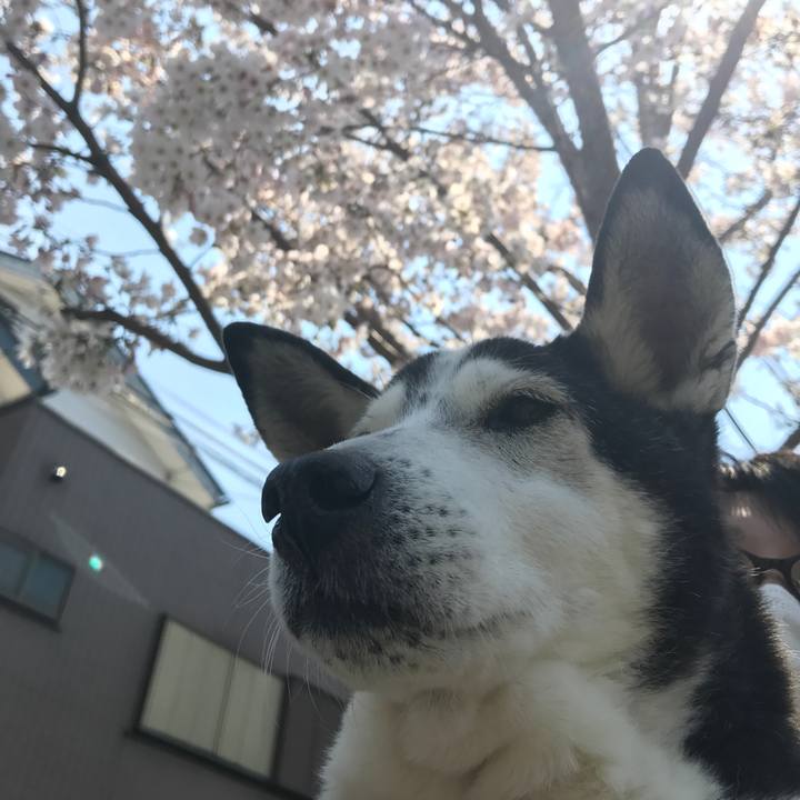 Aed5662a a5ad 4bd6 992e 13de5ae7f803