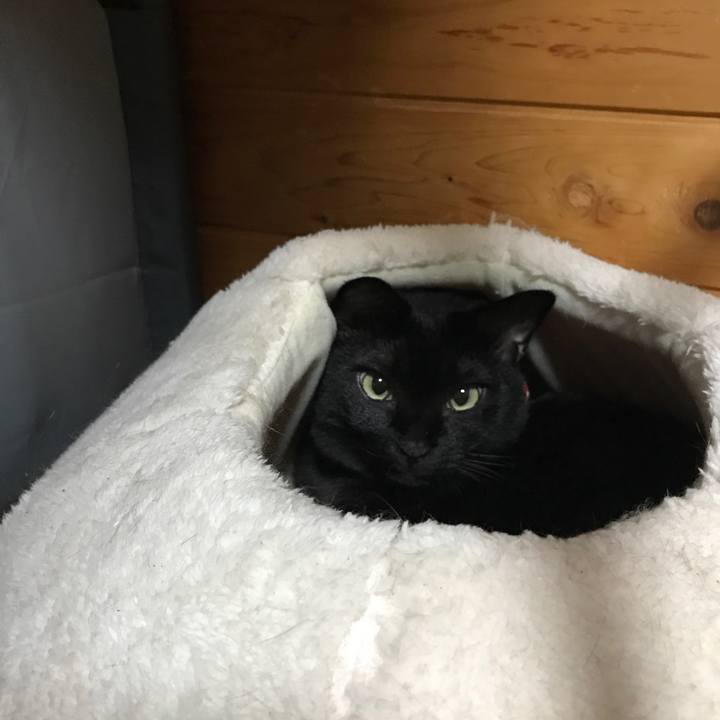 Aed56e67 76fb 4428 9e96 78fdca078c22