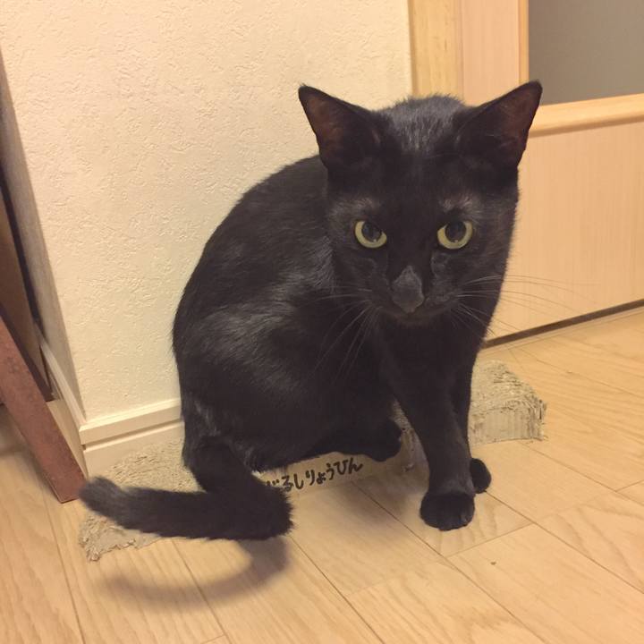 Aed5793d 7926 43c5 9c12 9c87d3e8b245